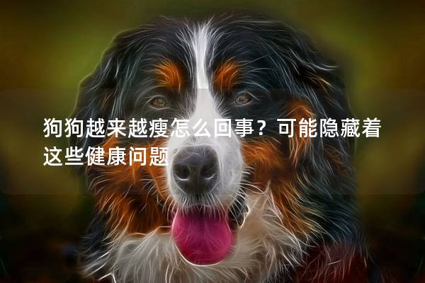 狗狗越來越瘦怎么回事？可能隱藏著這些健康問題