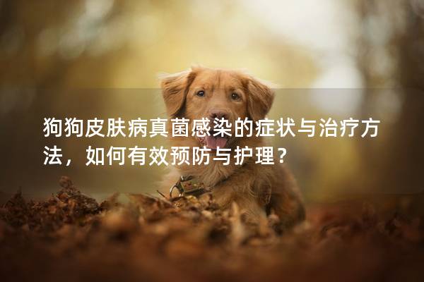 狗狗皮膚病真菌感染的癥狀與治療方法，如何有效預(yù)防與護理？