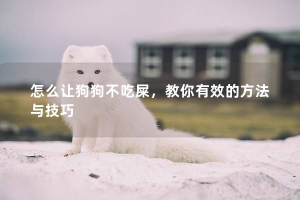 怎么讓狗狗不吃屎，教你有效的方法與技巧