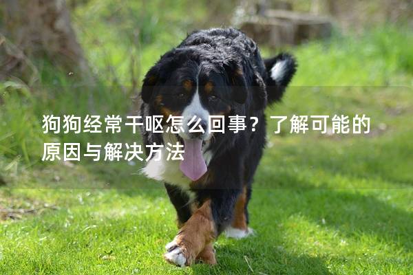 狗狗經常干嘔怎么回事？了解可能的原因與解決方法