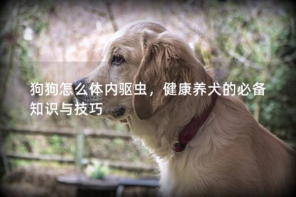 狗狗怎么體內驅蟲，健康養(yǎng)犬的必備知識與技巧