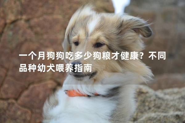 一個月狗狗吃多少狗糧才健康?不同品種幼犬喂養(yǎng)指南