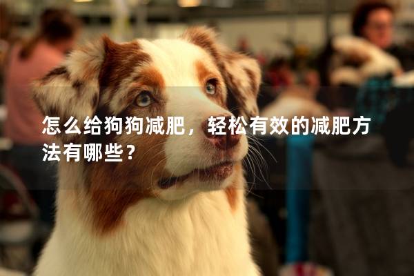 怎么給狗狗減肥，輕松有效的減肥方法有哪些？