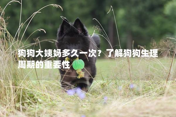 狗狗大姨媽多久一次？了解狗狗生理周期的重要性