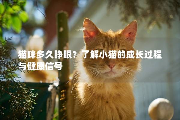 貓咪多久睜眼?了解小貓的成長過程與健康信號 貓咪多久睜眼?了解小貓的成長過程與健康信號