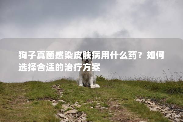 狗子真菌感染皮膚病用什么藥？如何選擇合適的治療方案