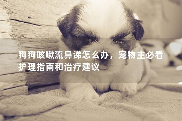 狗狗咳嗽流鼻涕怎么辦，寵物主必看護理指南和治療建議