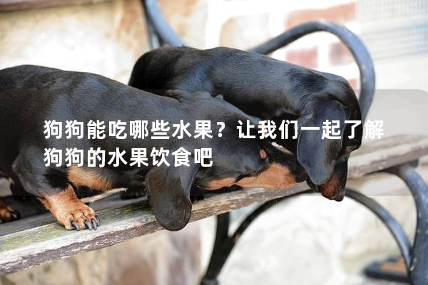 狗狗能吃哪些水果？讓我們一起了解狗狗的水果飲食吧
