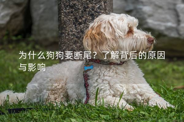 為什么狗狗要斷尾？了解背后的原因與影響