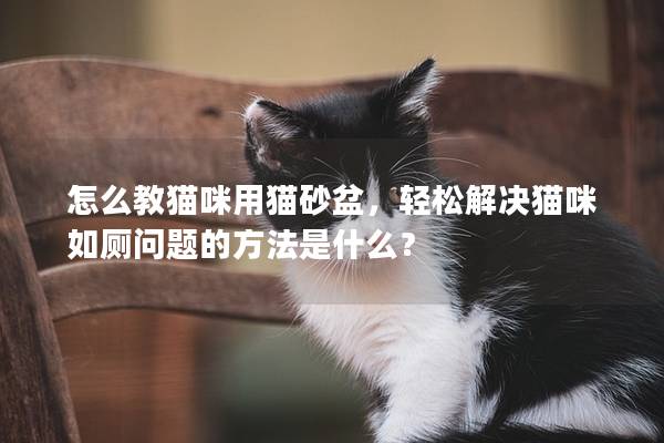 怎么教貓咪用貓砂盆，輕松解決貓咪如廁問題的方法是什么？