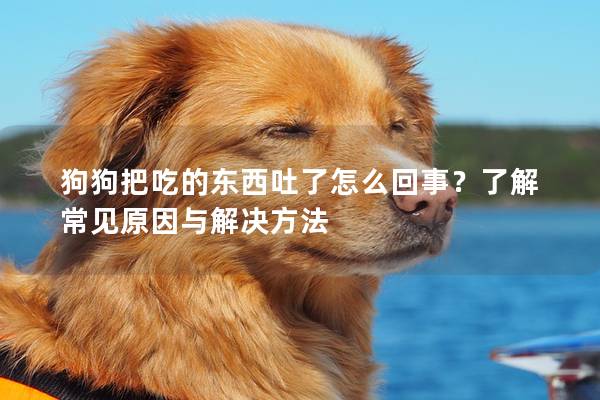 狗狗把吃的東西吐了怎么回事？了解常見原因與解決方法