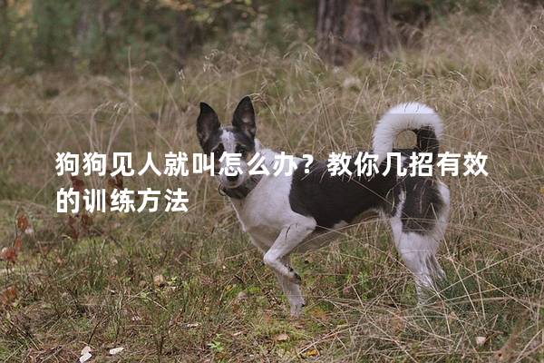 狗狗見人就叫怎么辦？教你幾招有效的訓練方法