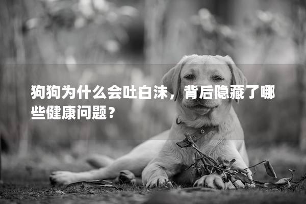 狗狗為什么會吐白沫，背后隱藏了哪些健康問題？