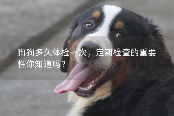 狗狗多久體檢一次，定期檢查的重要性你知道嗎？