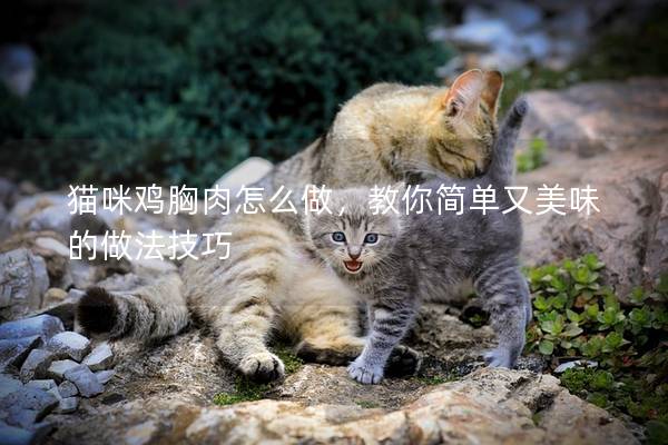 貓咪雞胸肉怎么做，教你簡單又美味的做法技巧
