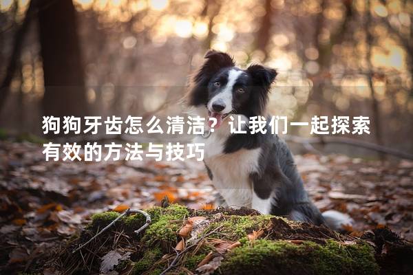 狗狗牙齒怎么清潔？讓我們一起探索有效的方法與技巧