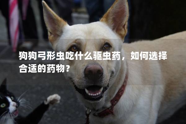 狗狗弓形蟲吃什么驅(qū)蟲藥,如何選擇合適的藥物? 狗狗弓形蟲吃什么驅(qū)蟲藥,如何選擇合適的藥物?