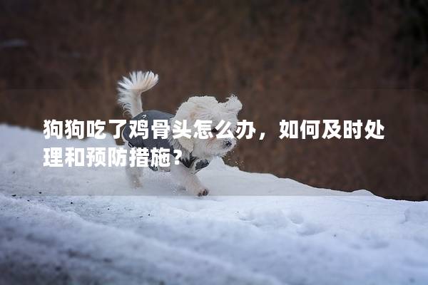 狗狗吃了雞骨頭怎么辦，如何及時處理和預防措施？
