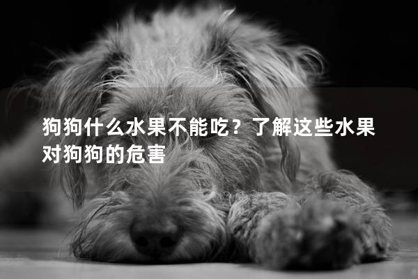 狗狗什么水果不能吃？了解這些水果對狗狗的危害