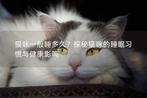 貓咪一般睡多久？探秘貓咪的睡眠習(xí)慣與健康影響