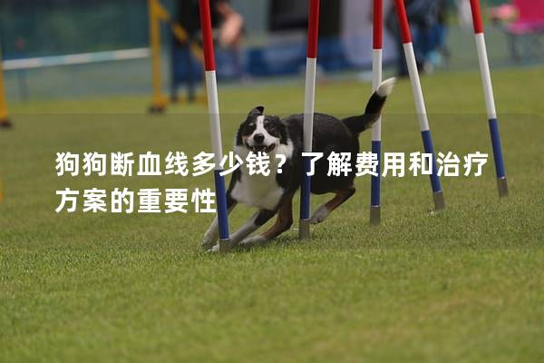 狗狗斷血線多少錢?了解費用和治療方案的重要性 狗狗斷血線多少錢?了解費用和治療方案的重要性