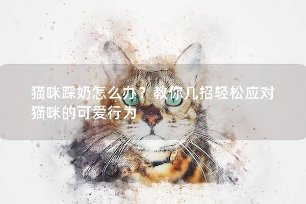 貓咪踩奶怎么辦？教你幾招輕松應(yīng)對貓咪的可愛行為