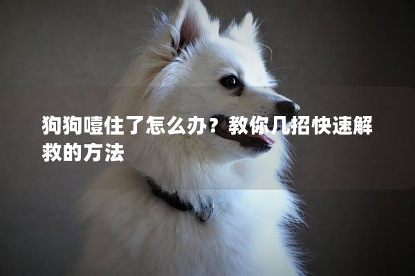 狗狗噎住了怎么辦？教你幾招快速解救的方法