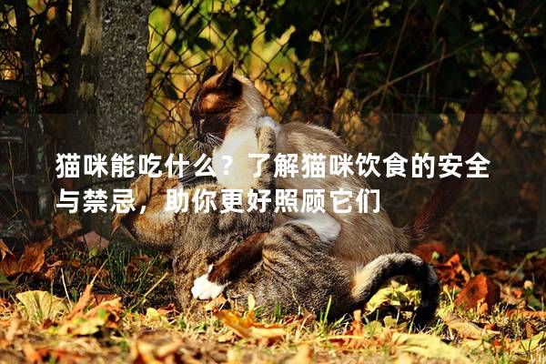 貓咪能吃什么？了解貓咪飲食的安全與禁忌，助你更好照顧它們