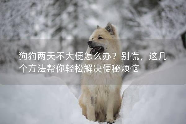 狗狗兩天不大便怎么辦？別慌，這幾個方法幫你輕松解決便秘煩惱