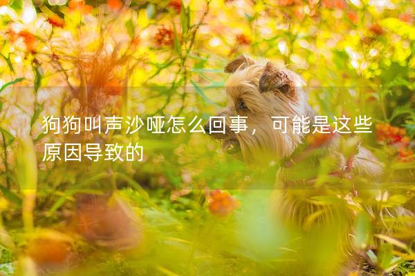 狗狗叫聲沙啞怎么回事，可能是這些原因?qū)е碌?></em><p>狗狗叫聲沙啞怎么回事，可能是這些原因?qū)е碌?/p><span>2025-03-27</span></a></li> 
                                            </ul>
                                        </div>

                                        <div   id=