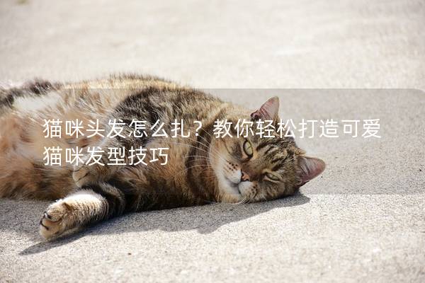 貓咪頭發怎么扎？教你輕松打造可愛貓咪發型技巧