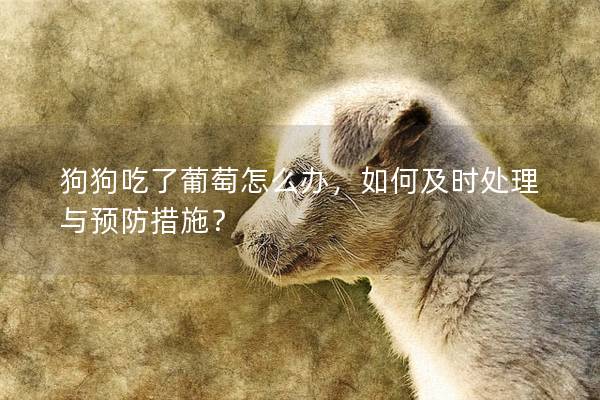 狗狗吃了葡萄怎么辦，如何及時(shí)處理與預(yù)防措施？