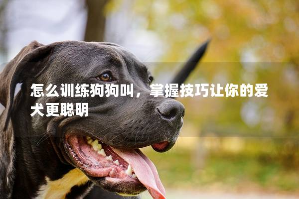 怎么訓練狗狗叫，掌握技巧讓你的愛犬更聰明