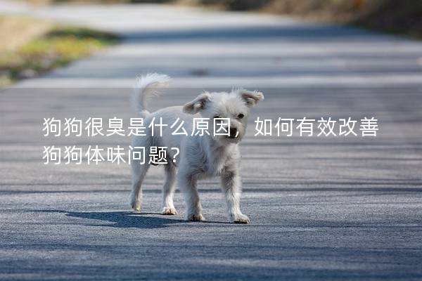 狗狗很臭是什么原因，如何有效改善狗狗體味問題？