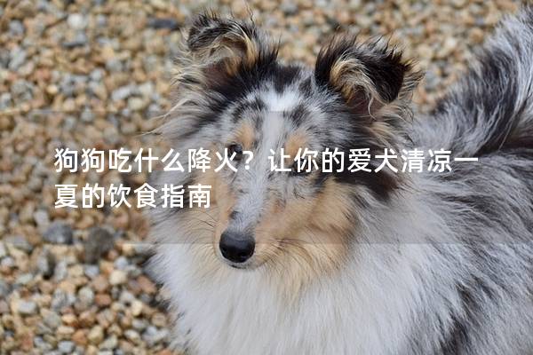 狗狗吃什么降火？讓你的愛犬清涼一夏的飲食指南
