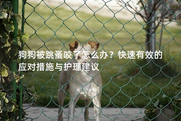 狗狗被跳蚤咬了怎么辦?快速有效的應(yīng)對(duì)措施與護(hù)理建議 狗狗被跳蚤咬了怎么辦?快速有效的應(yīng)對(duì)措施與護(hù)理建議