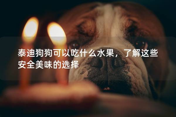 泰迪狗狗可以吃什么水果，了解這些安全美味的選擇