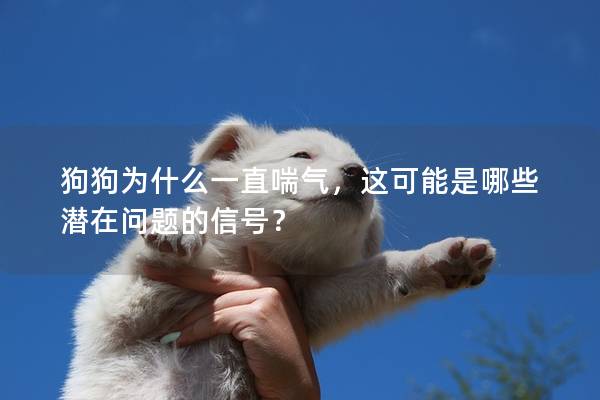 狗狗為什么一直喘氣，這可能是哪些潛在問題的信號？
