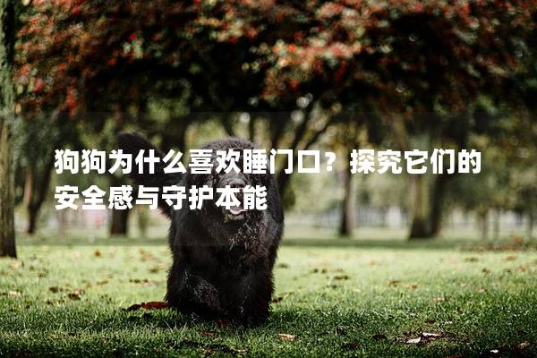 狗狗為什么喜歡睡門口？探究它們的安全感與守護本能
