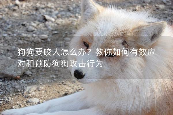 狗狗要咬人怎么辦？教你如何有效應(yīng)對(duì)和預(yù)防狗狗攻擊行為