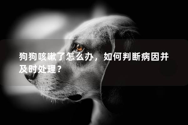 狗狗咳嗽了怎么辦，如何判斷病因并及時處理？