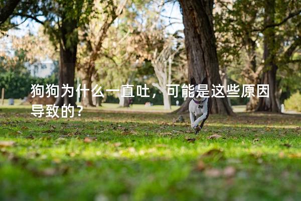 狗狗為什么一直吐，可能是這些原因導致的？