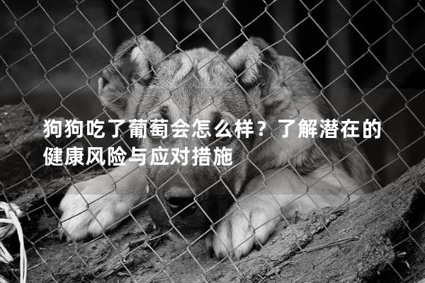 狗狗吃了葡萄會怎么樣？了解潛在的健康風險與應(yīng)對措施
