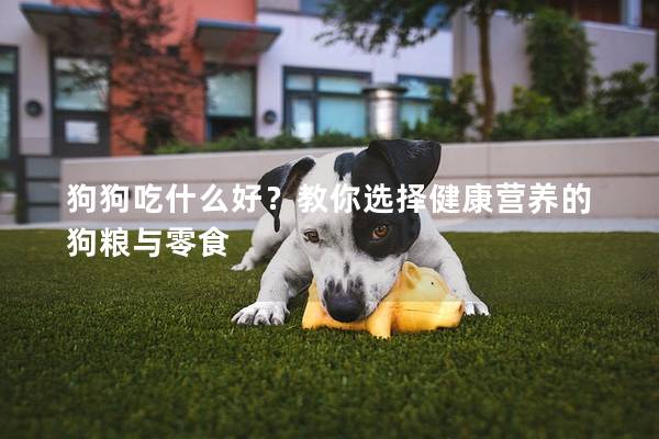 狗狗吃什么好？教你選擇健康營養(yǎng)的狗糧與零食