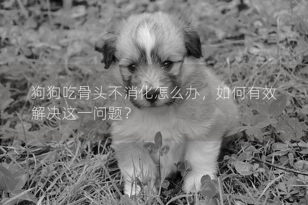 狗狗吃骨頭不消化怎么辦，如何有效解決這一問題？