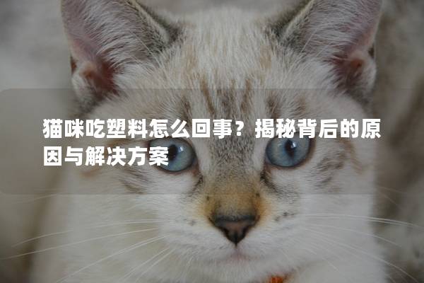 貓咪吃塑料怎么回事？揭秘背后的原因與解決方案