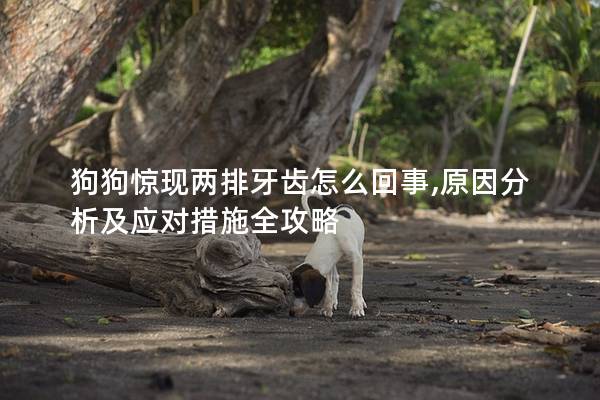 狗狗驚現兩排牙齒怎么回事,原因分析及應對措施全攻略