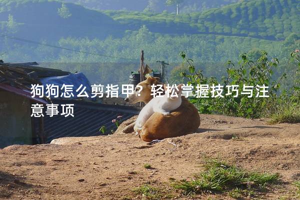 狗狗怎么剪指甲？輕松掌握技巧與注意事項