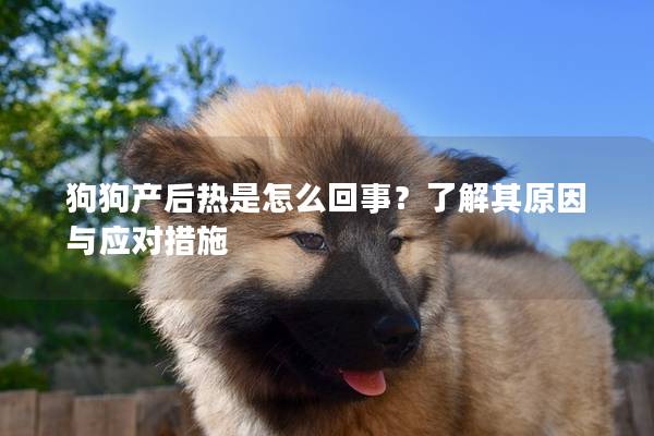 狗狗產后熱是怎么回事？了解其原因與應對措施