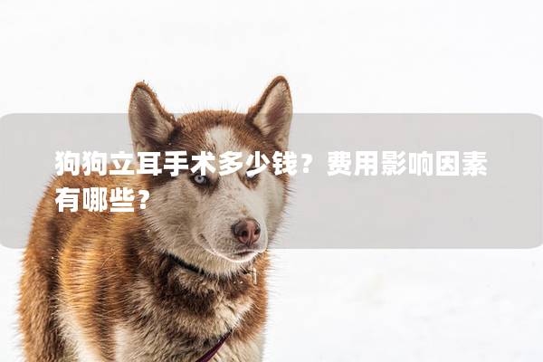 狗狗立耳手術多少錢？費用影響因素有哪些？